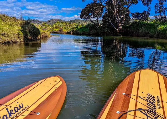 Adventurer\'S Chest - Pohutukawa